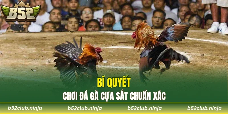 Bí quyết chơi đá gà cựa sắt chuẩn xác
