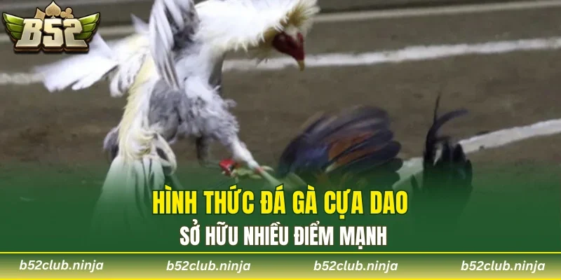 Hình thức đá gà cựa dao sở hữu nhiều điểm mạnh