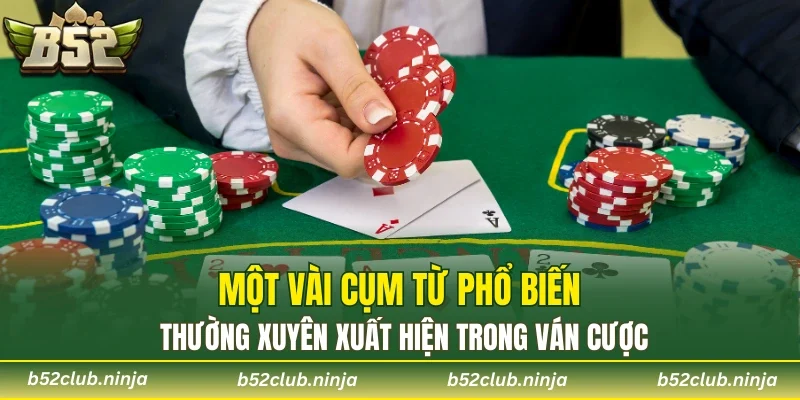 Một vài cụm từ phổ biến thường xuyên xuất hiện trong ván cược