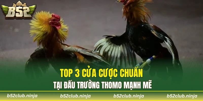 Top 3 cửa cược chuẩn tại đấu trường Thomo mạnh mẽ