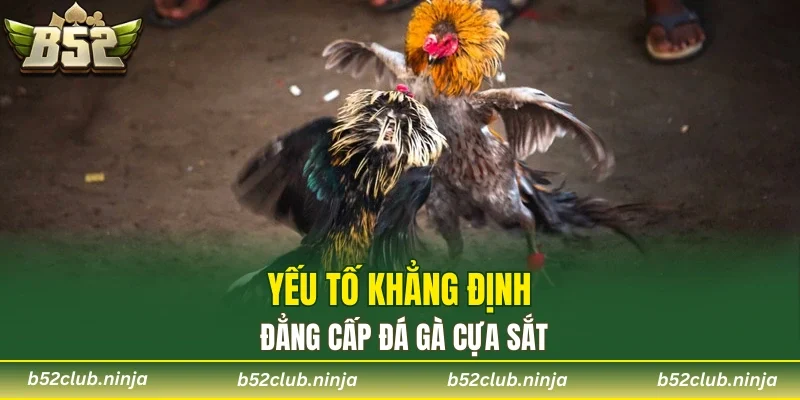 Yếu tố khẳng định đẳng cấp đá gà cựa sắt